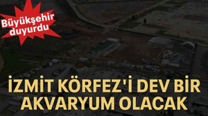 İzmit Körfez'i dev bir akvaryum olacak